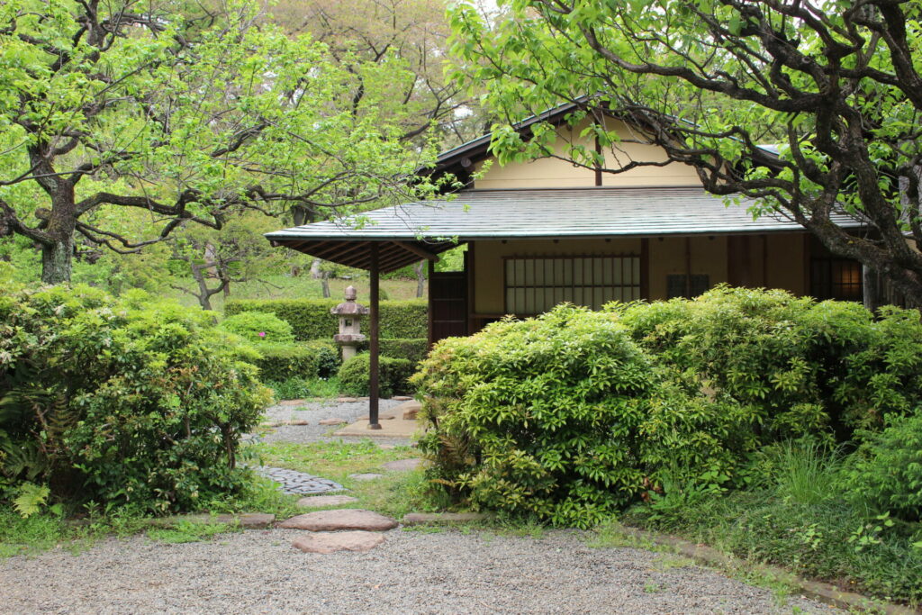 ヒョウゲ-HYOUGE-モノの住む家、茶室