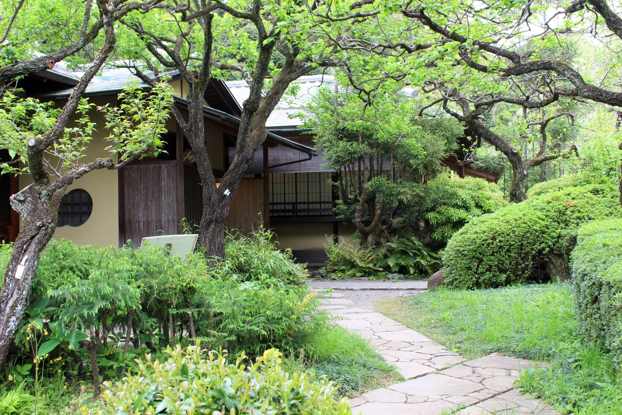Inspired by the Japanese Tea Garden (Roji) Path